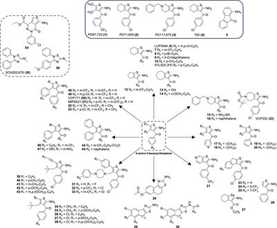 Small molecule allosteric modulation of the adenosine A1 receptor